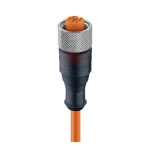 RKT/LED A 4-3-260/5 M, M12 Standard kabel sensor/aktuator jednostronnie zakończony: żeński, prosty, 3-pin, kodowanie A, przeźroczysta obudowa, 10-30 V DC, 4 A, z 2xLED (PNP); PUR pomarańczowy kabel, 0.34 mm², Lumberg Automation