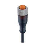 RKT/LED A 4-3-224/15 M, M12 Standard kabel sensor/aktuator jednostronnie zakończony: żeński, prosty, 3-pin, kodowanie A, przeźroczysta obudowa, 10-30 V DC, 4 A, z 2xLED (PNP); PUR czarny kabel, 0.34 mm², Lumberg Automation