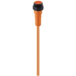 RS 30-01/2 M, 7/8" Power Single-Ended Cordset: Male, straight, 3-pin(2+PE), orange body, 230 V AC/DC, 12 A; PVC orange cable, 0.75 mm², Lumberg Automation