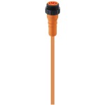 RS 50-04/15 M, 7/8" Power Single-Ended Cordset: Male, straight, 5-pin(4+PE), orange body, 230 V AC/DC, 9 A; PVC orange cable, 0.50 mm², Lumberg Automation