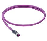 0975 254 103/2 M, Profibus kabel konfekcjonowany jednostronnie zakończony, złącze żeńskie M12, 5 polowy, kodowanie-B, Lumberg Automation