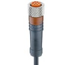RKMV 8-354/15 M, M8 kabel konfekcjonowany sensor/aktuator, jednostronnie zakończony, 8-pole, żeńskie prosty złącze z samoblokującym gwintem i formowanym czarny PUR bezhalogenowy, Lumberg Automation