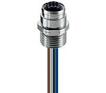 12589.jpg