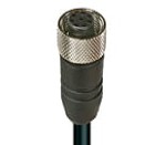 RKT 8-627/5 M, M12 kabel konfekcjonowany aktuator/sensor, jednostronnie zakończony, 8-polowe, żeńskie proste złącze z samoblokującym gwintem i czarnym formowanym kablem PVC 24G", Lumberg Automation