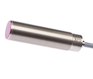 ipf_bin_IB180152.jpg