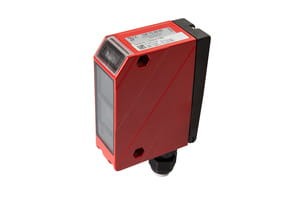ipf_bin_OR705986.jpg
