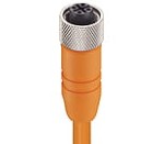 RKTS 8-184/25 M, M12 Micro Actuator/sensor cordset, single-ended, M12, 8-poles, female straight connector with threaded joint and orange PVC shielded molded cable, shielding connecting to knurled screw.", Lumberg Automation