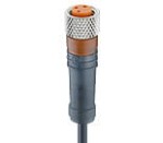 RKMV 4-295/5 M, M8 kabel konfekcjonowany sensor/aktuator jednostronnie zakończony, żeńskie prosty, 4 polowy, 909295, PVC, czarny, 4x22 AWG, IEC, Lumberg Automation