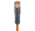 RKMV 4-07/1 M, M8 kabel konfekcjonowany sensor/aktuator, jednostronnie zakończony, 4 polowy, żeńskie prosty złącze z samoblokującym gwintem i formowanym pomarańczowym kablem PVC, Lumberg Automation