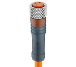RKMV 4-07/30 M, M8 kabel konfekcjonowany sensor/aktuator, jednostronnie zakończony, 4 polowy, żeńskie prosty złącze z samoblokującym gwintem i formowanym pomarańczowym kablem PVC, Lumberg Automation