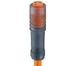RKM 3-06/5 M, M8 kabel konfekcjonowany sensor/aktuator, jednostronnie zakończony, 3 polowy, żeńskie proste złącze ze złaczem zatrzaskowym i formowanym pomarańczowym kablem PVC, Lumberg Automation