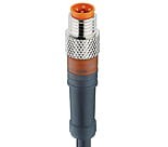 RSMV 4-500/2 M, M8 Pico actuator/sensor cordset, single-ended, 4-poles male straight connector with self-locking threaded joint and molded cable. Especially designed for use in Robotic applications., Lumberg Automation