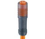 RKM 4-07/5 M, M8 kabel konfekcjonowany sensor/aktuator, jednostronnie zakończony, 4 polowy, żeńskie proste złącze ze złaczem zatrzaskowym i formowanym pomarańczowym kablem PVC, Lumberg Automation