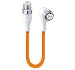 WRST 3-WRKWT 4-3-520/5 M, M12 Micro actuator/sensor cord set, double ended, straight M12 male to right-angle M12 female connector and molded cable, hexagon screw in stainless steel, 3 poles., Lumberg Automation