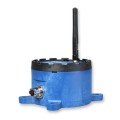 BB-WSD2M310101.jpg