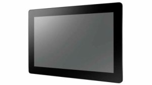 IDP31-156WP45HIA1 15.6" IP67 FHD Proflat Monitor, w/ P-cap