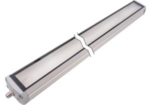 ipf_bor_EM700123.png_bin.jpg