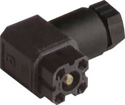 image.jpg?x=250&amp;y=250