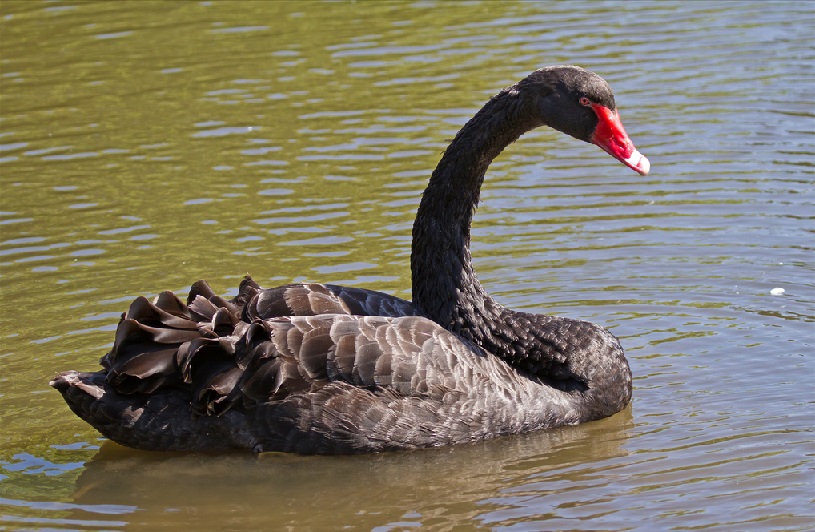 SCADA Security: The Cost of Not Investing