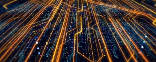 The Fight Against Botnets